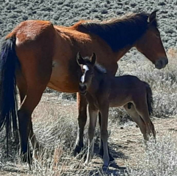 Halloween Party with @1605closet and Myself 🎃🤪🎉 Monday 6th - Picture 10 of 15